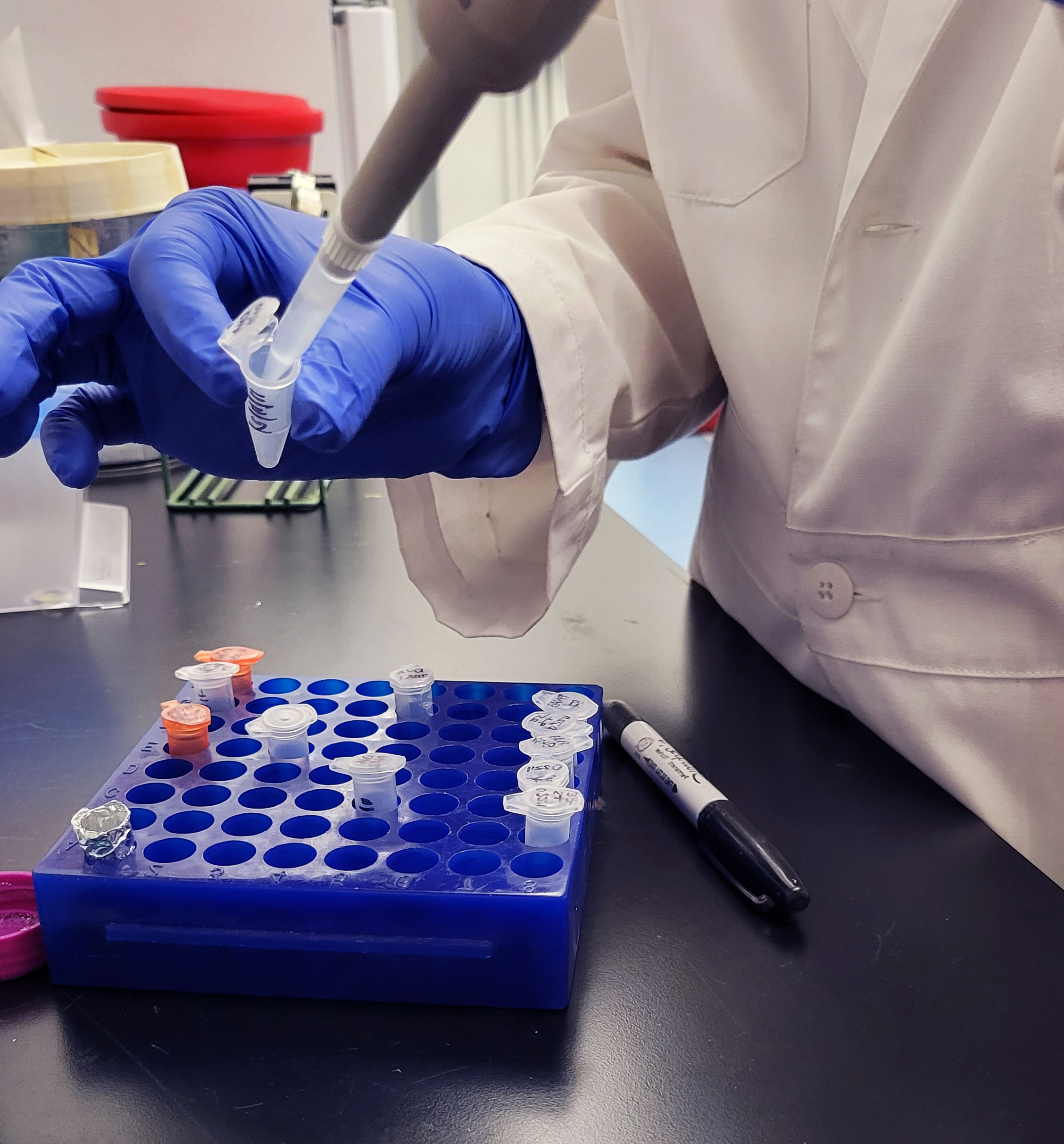 Química y bioquímica